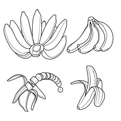 Vector drawing Illustration Hand drawn ink sketch of banana, Half Peeled, whole and sliced line art, For kids coloring book.outline vector doodle illustration, For internet, printing, product design