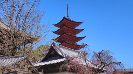 安芸の宮島厳島神社五重塔1