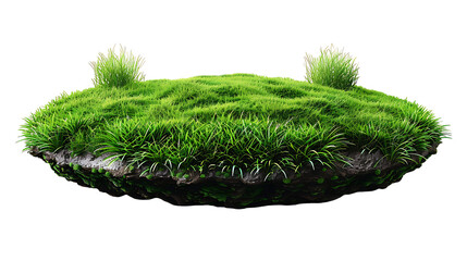 grass green circle land ground floor garden or garden earth soil land layer and green grass floor...