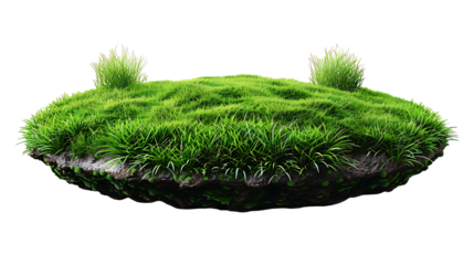 grass green circle land ground floor garden or garden earth soil land layer and green grass floor circle section land isolated on white background
