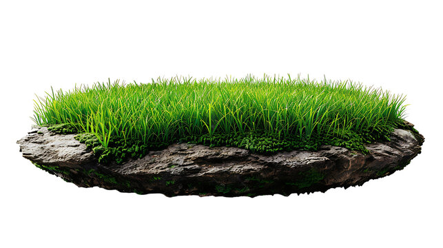 grass green circle land ground floor garden or garden earth soil land layer and green grass floor circle section land isolated on white background