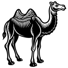      Camel silhouette  vector illustration.
