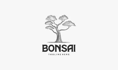 Hand drawn vintage tree logo design illustration, Bonsai logo vintage