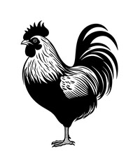 Fototapeta na wymiar Animals Chicken Silhouette PNG Files Print for White Background