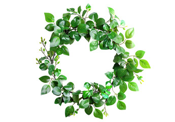Wreath made of green leaves on a white background