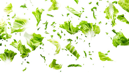  small pieces of lettuce flying in the air Isolated on white background