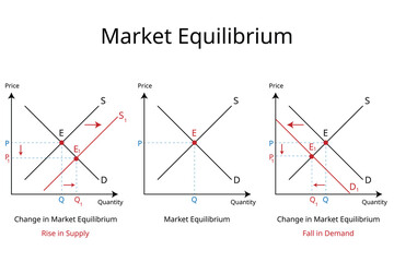 Market equilibrium occurs when the quantity supplied equals the quantity demanded at a particular price