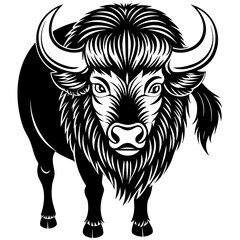 bison silhouette vector illustration,head of a bull,Bison characters,Holiday t shirt,Hand drawn trendy Vector illustration,bison svg face,bison on black background