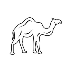 camel icon. camel vector flat liner illustration on white backgorund..eps