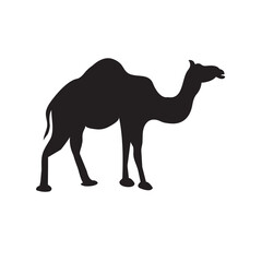 camel icon. camel vector flat trendy style illustration on white background..eps