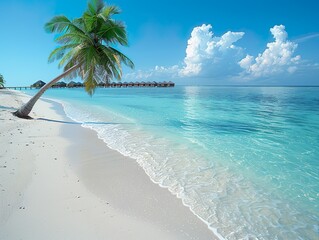 Fototapeta na wymiar Panoramic view of coconut palms on a white sandy beach in the Maldives Islands