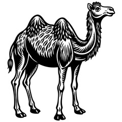      Camel silhouette  vector illustration.