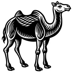      Camel silhouette  vector illustration.