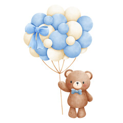 Baby Teddy Bear, Baby boy