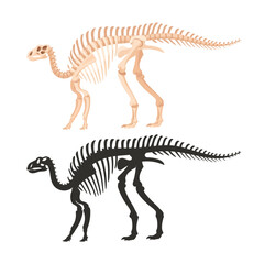 Fototapeta na wymiar Iguanodon fossil silhouettes. Cartoon dinosaur skeleton, ancient ornithopod dinosaur, jurassic raptor bones flat vector illustration. Archaeological fossil skeletons