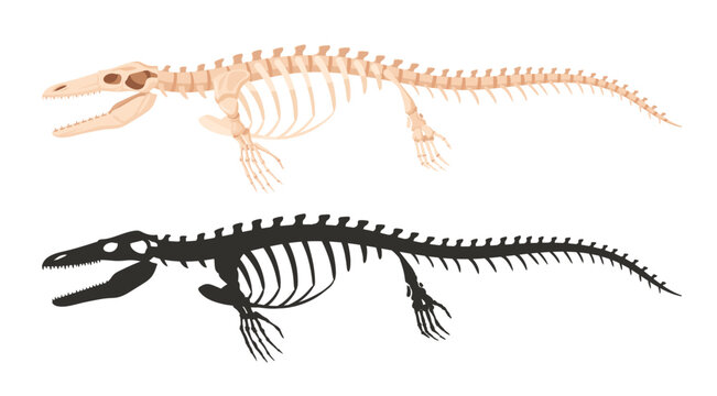 Ichthyosaurus skeleton silhouettes. Underwater archaeological dinosaur fossil bones, jurassic ichthyosaurus raptor flat vector illustration. Ancient water fossil skeleton