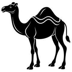 camel in desert silhouette vector illustration,head of a bull,camel characters,Holiday t shirt,Hand drawn trendy Vector illustration,camel riders on black background