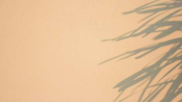 The shadow of the sun shining through the wood