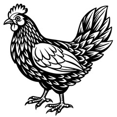 hen and rooster silhouette vector illustration,Pet,chicken characters,Holiday t shirt,Hand drawn trendy Vector illustration,Egg  on black background