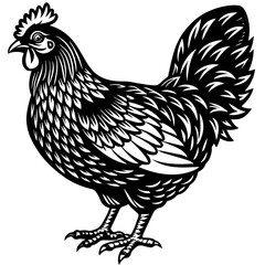 hen and rooster silhouette vector illustration,Pet,chicken characters,Holiday t shirt,Hand drawn trendy Vector illustration,Egg  on black background