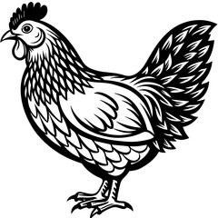 hen and rooster silhouette vector illustration,Pet,chicken characters,Holiday t shirt,Hand drawn trendy Vector illustration,Egg  on black background