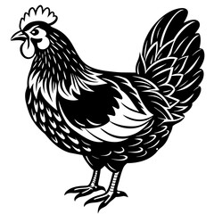 hen and rooster silhouette vector illustration,Pet,chicken characters,Holiday t shirt,Hand drawn trendy Vector illustration,Egg  on black background