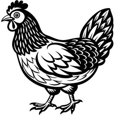 hen and rooster silhouette vector illustration,Pet,chicken characters,Holiday t shirt,Hand drawn trendy Vector illustration,Egg  on black background