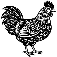 hen and rooster silhouette vector illustration,Pet,chicken characters,Holiday t shirt,Hand drawn trendy Vector illustration,Egg  on black background