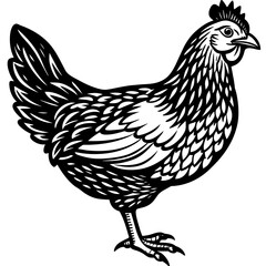 hen and rooster silhouette vector illustration,Pet,chicken characters,Holiday t shirt,Hand drawn trendy Vector illustration,Egg  on black background