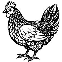 hen and rooster silhouette vector illustration,Pet,chicken characters,Holiday t shirt,Hand drawn trendy Vector illustration,Egg  on black background