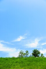 白い雲と青い空と緑の木と草の丘の風景12