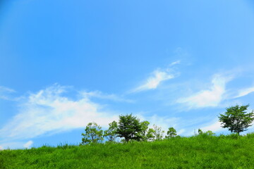 白い雲と青い空と緑の木と草の丘の風景11