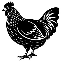 hen and rooster silhouette vector illustration,Pet,chicken characters,Holiday t shirt,Hand drawn trendy Vector illustration,Egg  on black background