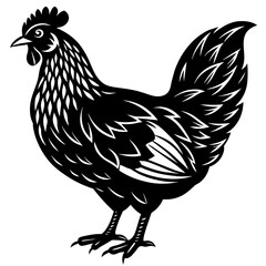 hen and rooster silhouette vector illustration,Pet,chicken characters,Holiday t shirt,Hand drawn trendy Vector illustration,Egg  on black background