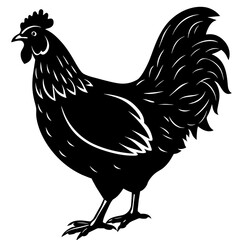 hen and rooster silhouette vector illustration,Pet,chicken characters,Holiday t shirt,Hand drawn trendy Vector illustration,Egg  on black background