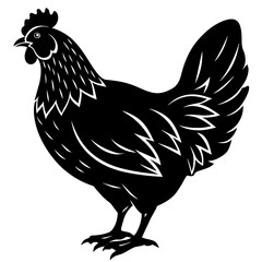 hen and rooster silhouette vector illustration,Pet,chicken characters,Holiday t shirt,Hand drawn trendy Vector illustration,Egg  on black background