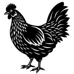 hen and rooster silhouette vector illustration,Pet,chicken characters,Holiday t shirt,Hand drawn trendy Vector illustration,Egg  on black background