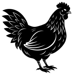 hen and rooster silhouette vector illustration,Pet,chicken characters,Holiday t shirt,Hand drawn trendy Vector illustration,Egg  on black background