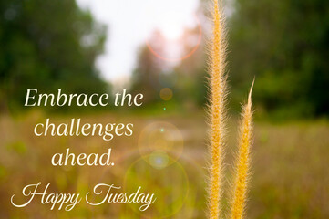 Embrace the challenges ahead. Happy Tuesday greetings