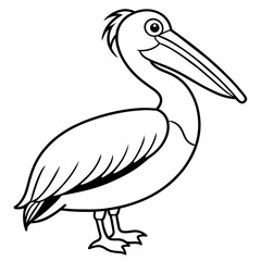 pelican isolated on white Background - Vector illustration 