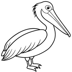 pelican isolated on white background -victor illustration