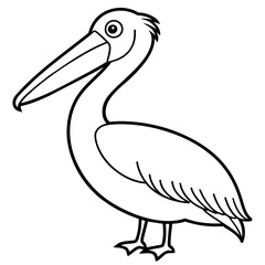 pelican isolated on white background -victor illustration