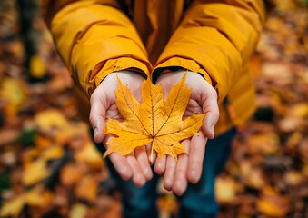Person Holding Golden Maple Leaf in Autumn Forest Setting