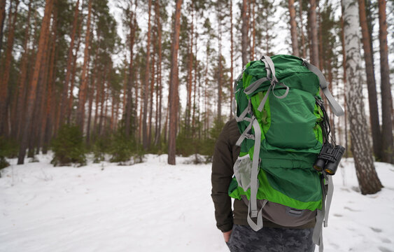 hiker in the winter forest