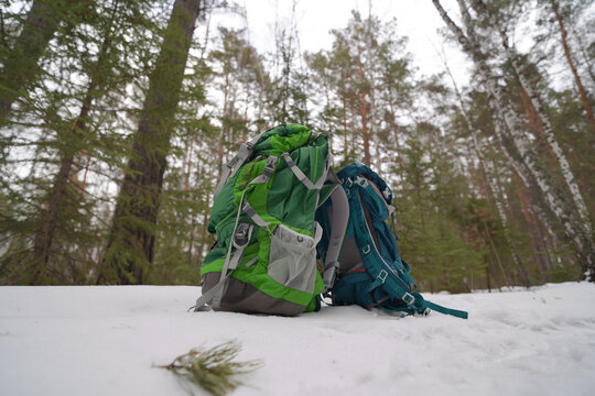 backpack in the forest