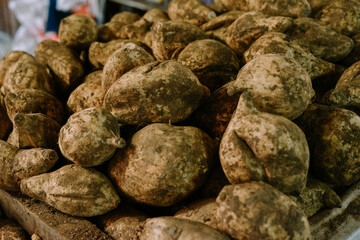 Fototapeta na wymiar Sweet potatoes that have just been taken from the ground are very fresh tubers.