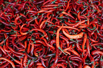 Curly red chilies are typical Indonesian chilies which make Indonesian spices taste delicious.