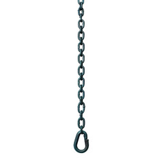 A close-up of a chain with a hook