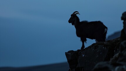 Ethereal Dusk: Silhouette of a Goat on a Mountain Ledge Against Twilight Sky - This Ultra High Definition Image Features the Striking Silhouette of a Goat Perched on a Mountain Ledge, with a Dramatic 
