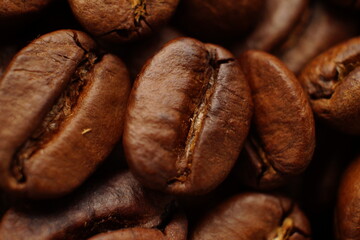 aromatic arabica coffee beans background - 778655453